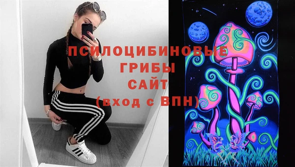 таблы Алексин