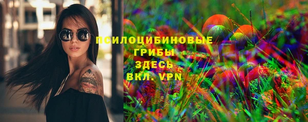 ГАЛЛЮЦИНОГЕННЫЕ ГРИБЫ Приозерск