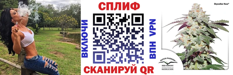 Бошки Шишки THC 21%  купить наркоту  Бабушкин 